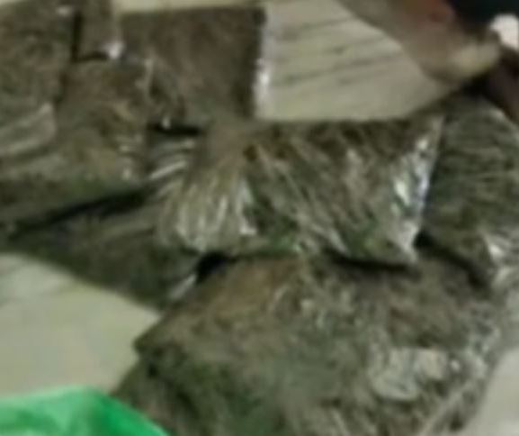 सिरहामा गाँजासहित एक जना पक्राउ