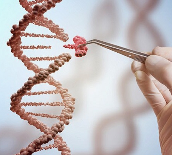 ७७ प्रतिशत एचआइभी संक्रमित मात्रै उपचारको दायरामा