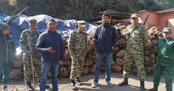 ४९ हजार किलो गुजरगानो बरामद