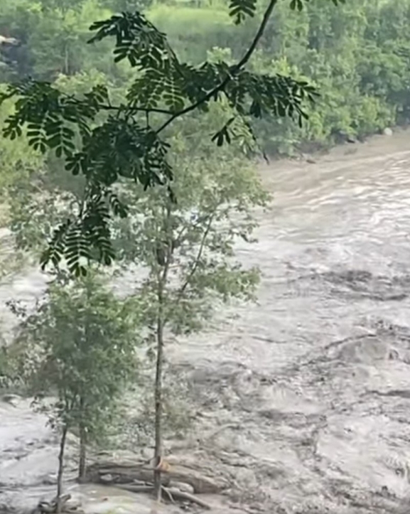 धादिङको त्रिशूली नदीमा २ जनाको शव भेटियो