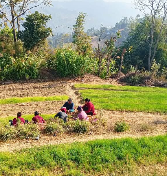 बसाइँसराइ रोक्न १ हजार जनालाई रोजगारी