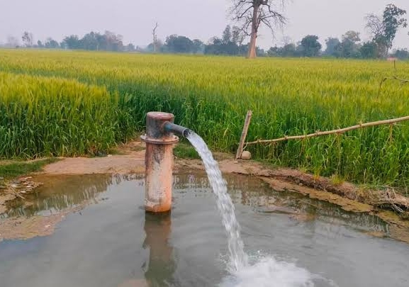 रुपन्देहीमा बोरिङको भरमा धान रोपाइँ