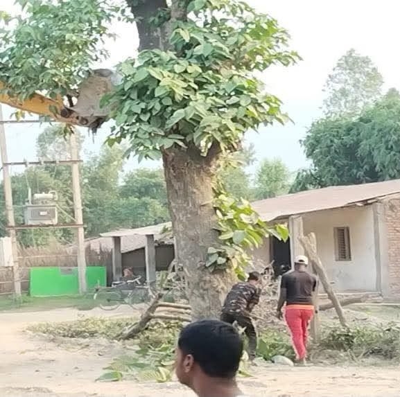 जयनगर-मौलापुर-वीरगञ्ज सडक कालोपत्रेको बाटो खुल्यो