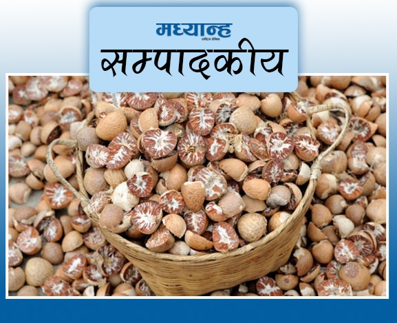 सुपारी निर्यात सहज बनाऊ