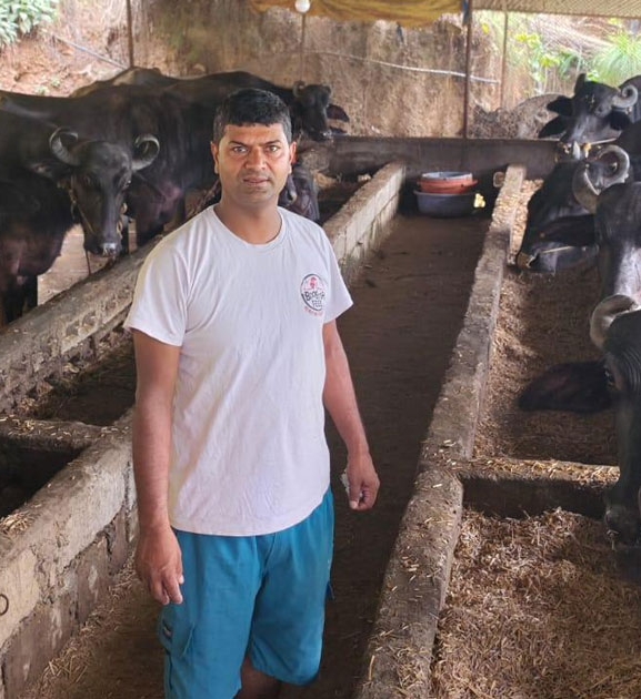 वैदेशिक रोजगार त्यागेका युवालाई पशुपालनबाट सफलता
