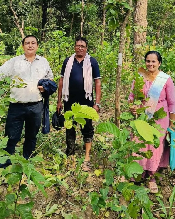 सामुदायिक वनको आम्दानीले युवालाई रोजगारी