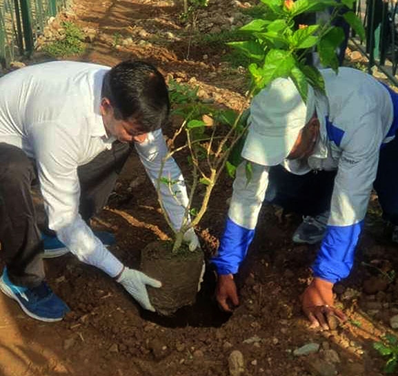 मधेश सरकारले ८६ लाख वृक्षरोपण गर्ने