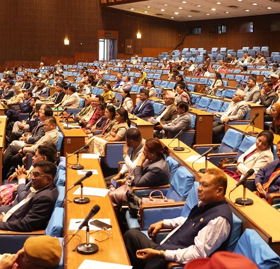 विद्युत् आपूर्तिमा देखिएको समस्या समाधान गर्न माग
