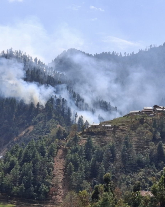 काभ्रेको गोरखनाथ वनमा लागेको डढेलो नियन्त्रण बाहिर