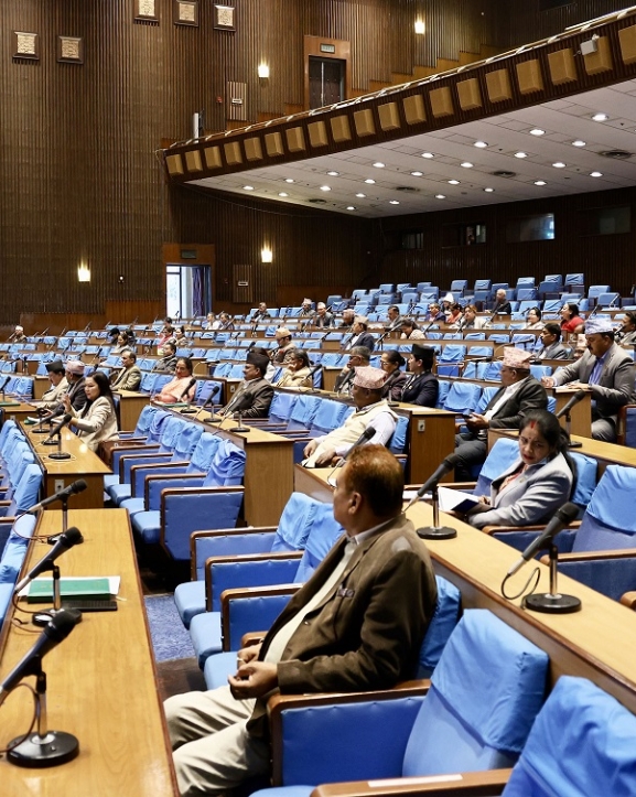 प्रतिनिधिसभा  बैठक शून्य समय : गणतन्त्र र संविधानलाई रक्षा गर्न सांसदको आग्रह