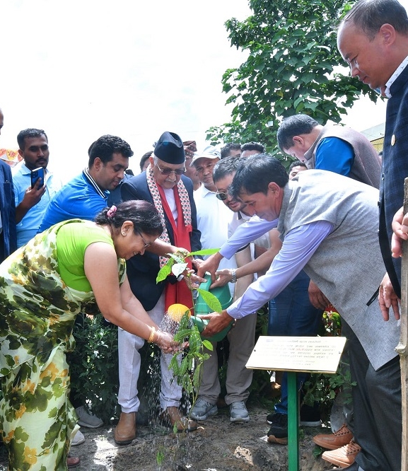 ‘एक युवा पाँच बिरुवा’ अभियानको शुभारम्भ