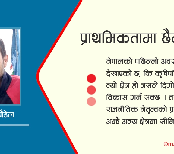 प्राथमिकतामा छैन पर्यटन