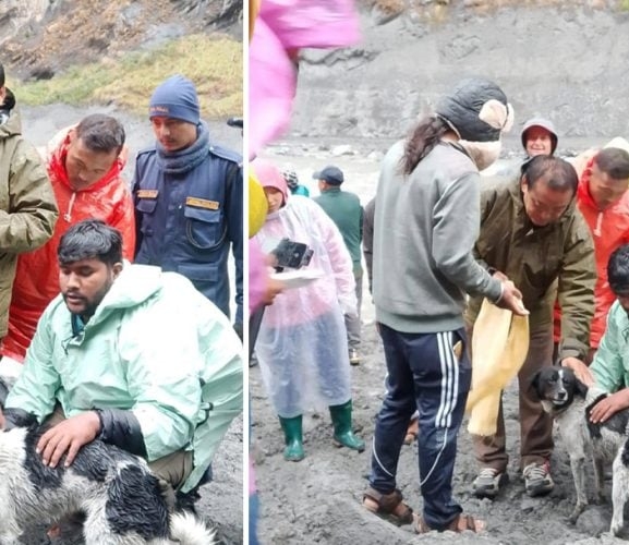 बुढीगण्डकी बगरमा फसेको कुकुरको उद्धार, २० दिनपछि घर फर्किइन् सेती