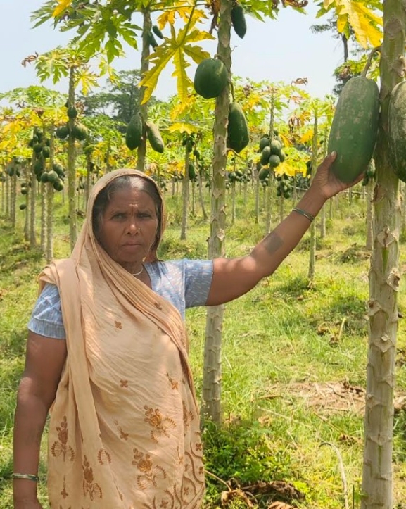 केवट परिवारको नमुना खेती
