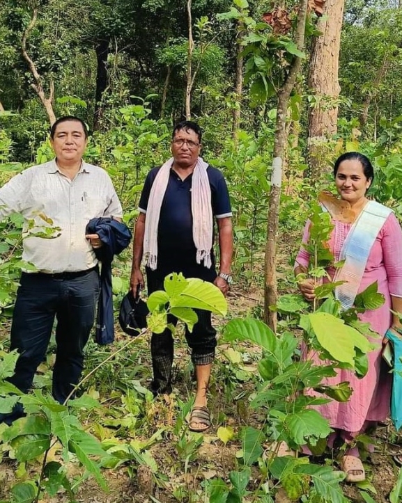 सामुदायिक वनको आम्दानीले गाउँ नै झिलिमिली