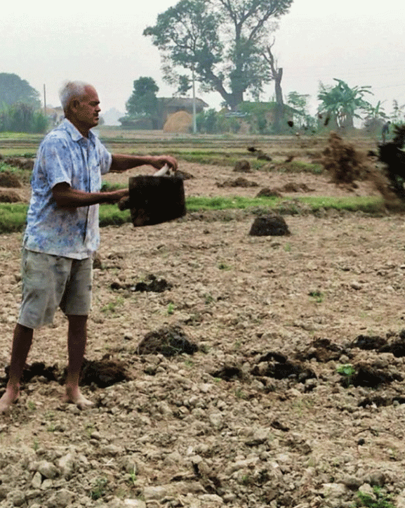 अधिया खेतीमै निर्भर छ भूमिहीन परिवार