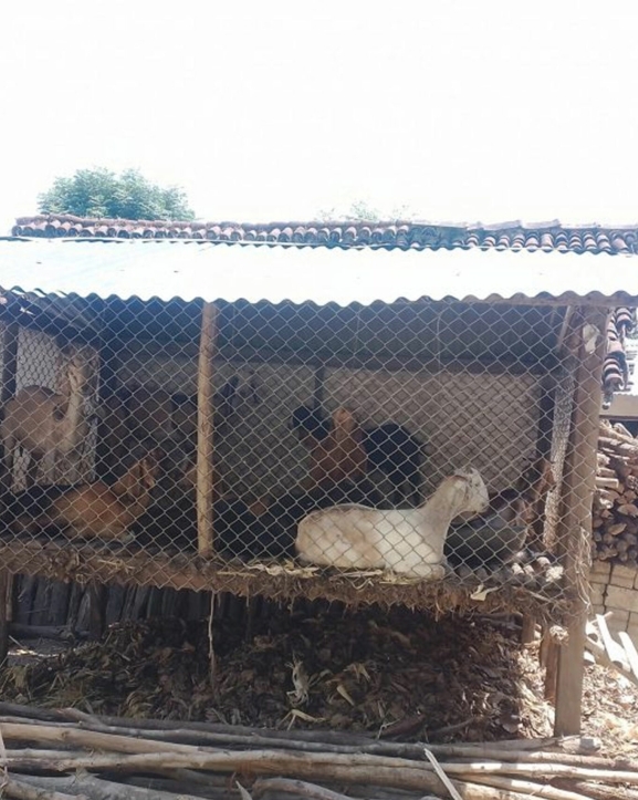 सुरक्षित खोरले निकुञ्ज मध्यवर्ती क्षेत्रका बासिन्दालाई राहत