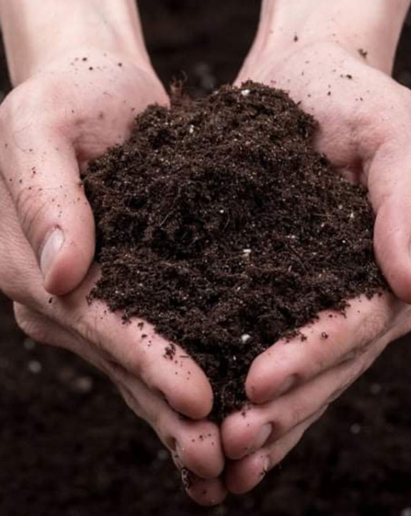 आज विश्व माटो दिवस मनाइँदै