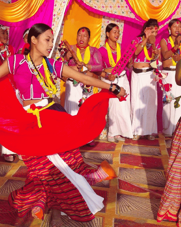 थारू समुदायको ‘ढुम्री’ नाच लोप हुँदै
