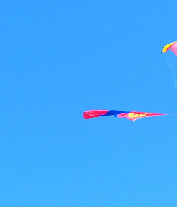 मंगोलियामा पर्यटक आगमन ५ प्रतिशतले बढ्यो