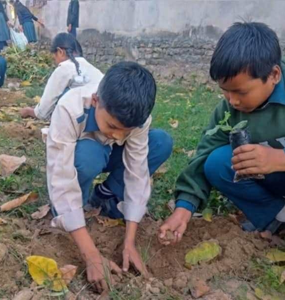 विद्यालयको करेसाबारी : दिवा खाजामा ताजा तरकारी