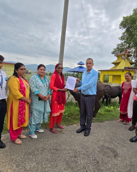 दुध उत्पादन वृद्धि गर्न भैँसीको पाडी वितरण