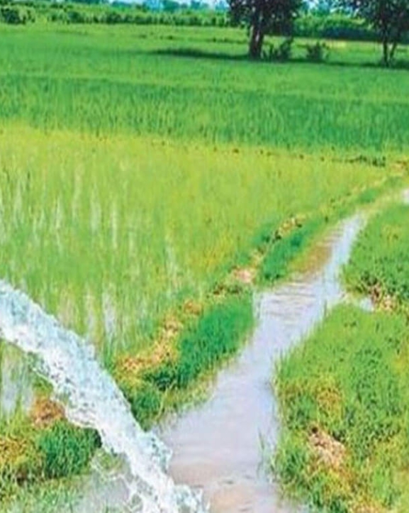 म्याग्दीमा २३ हेक्टरमा सिँचाइ सुविधा विस्तार