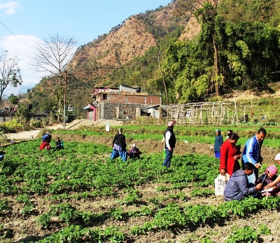 कर्णालीका दुःख : आफ्नो उत्पादनले पुग्दैन खान