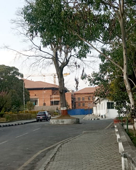 चुनावले सुनसान सिंहदरबार