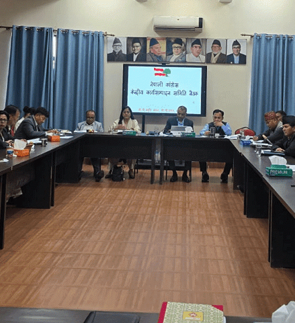सानेपामा कांग्रेस कार्यसम्पादन समितिको बैठक जारी