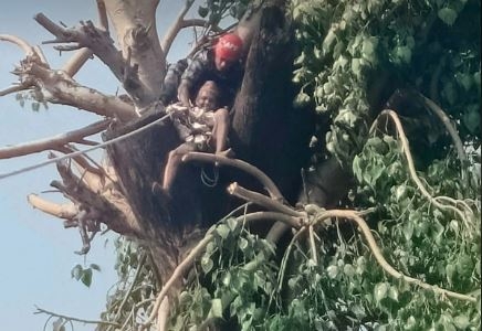 रुखमा अड्किएका सुनारको सकुशल उद्धार