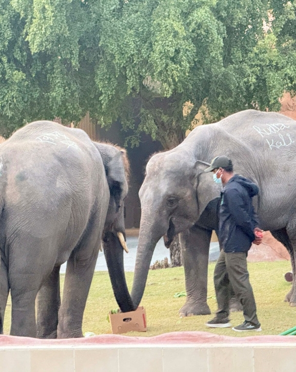 कतारमा दंग छन् रुद्रकली र खगेन्द्र, हेर्न आउने नेपालीको भिड