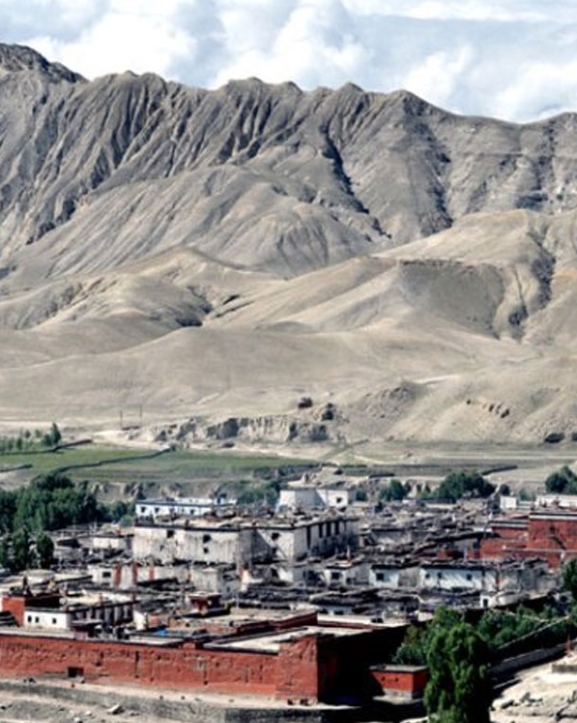 उपल्लो मुस्ताङका किसानलाई स्याउका बिरुवामा अनुदान