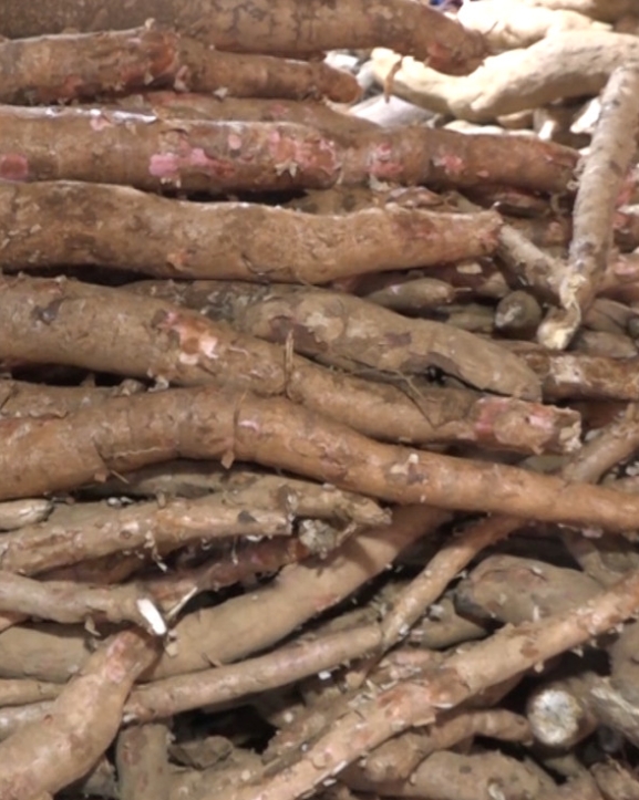 माघे संक्रान्ति नजिकिएसँगै तरुलको बिक्री बढ्दै