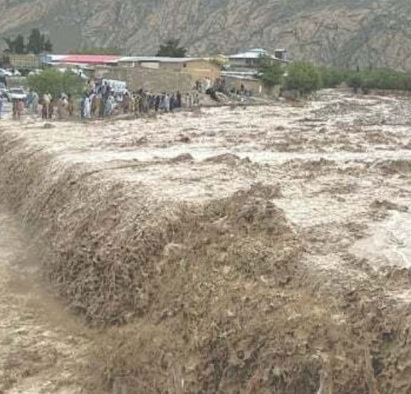 पाकिस्तानमा वर्षाका कारण १९ जनाको मृत्यु