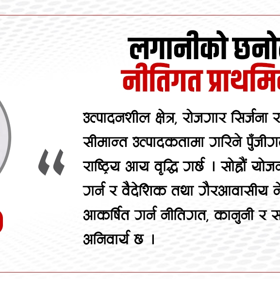लगानीको छनोट र नीतिगत प्राथमिकता