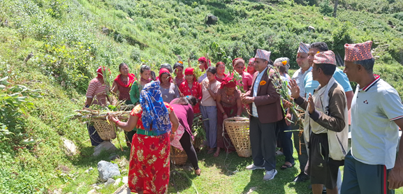झाडी फाँडेर घाँस खेती, घरघरमा बाख्रापालन