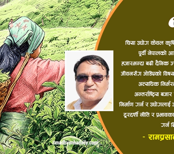 संकटमा नेपाली चिया उद्योग