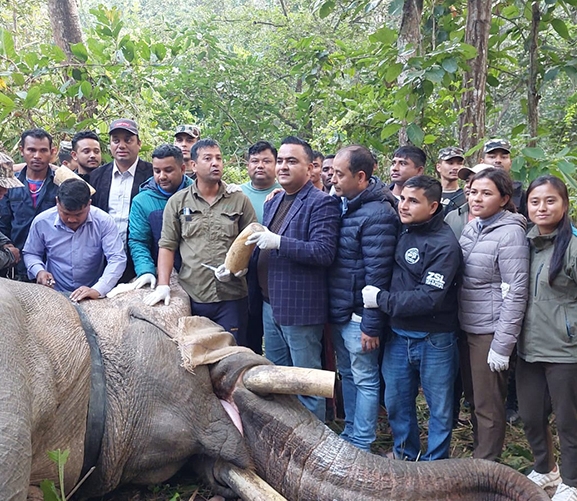दाह्रा काटिएको ध्रुर्वे निकुञ्जभित्रै, हरेक १० मिनेटमा अनुगमन