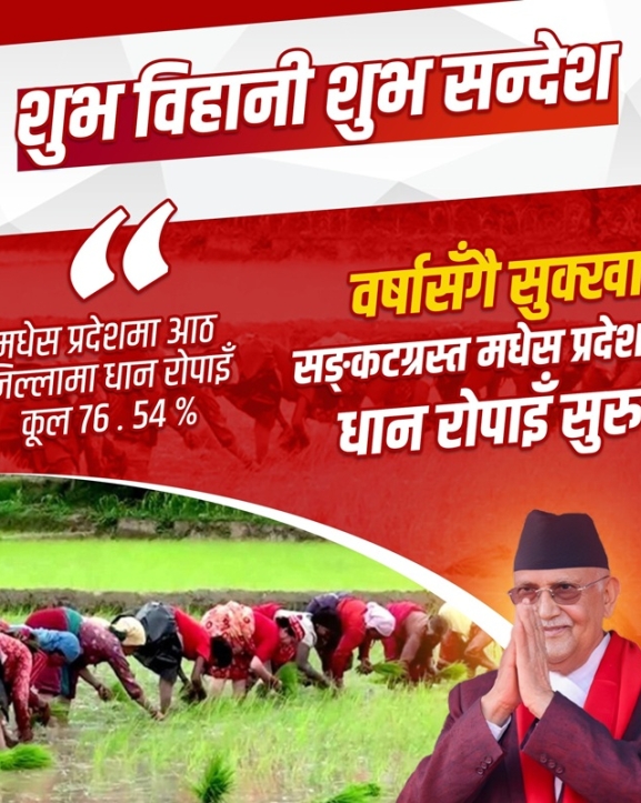 सरकारले तराईमा सिँचाइको स्थायी समाधान खोज्ने