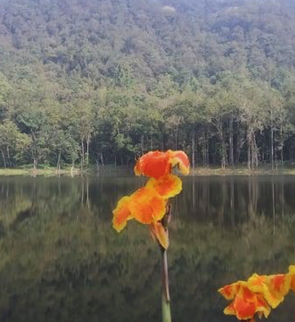 आहा ! आलिताल