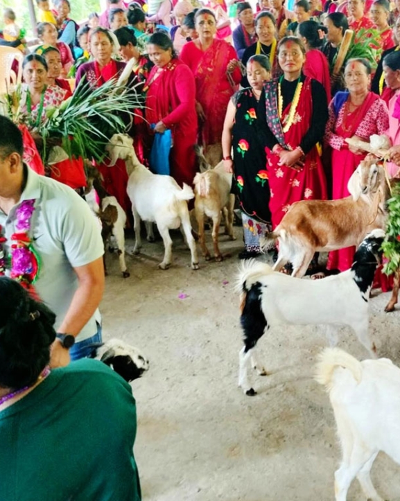 बाख्रा उपहार पाएपछि महिला खुसी