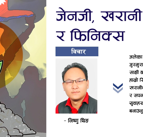 जेनजी, खरानी र फिनिक्स