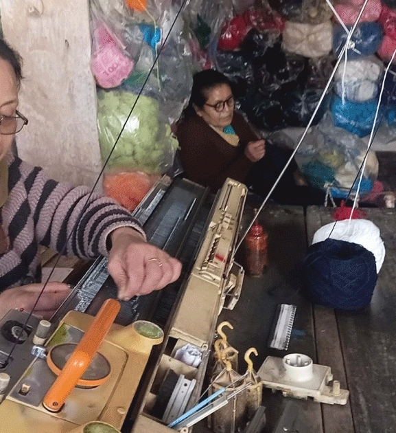 घरेलु उद्यममा व्यस्त भोजपुरका दुई दिदीबहिनी