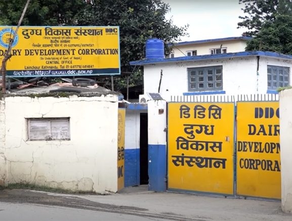 दुध किसानलाई १२ करोड भुक्तानी