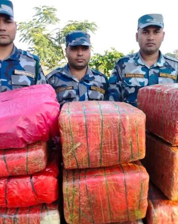 पर्सामा ९१ किलो गाँजा बरामद