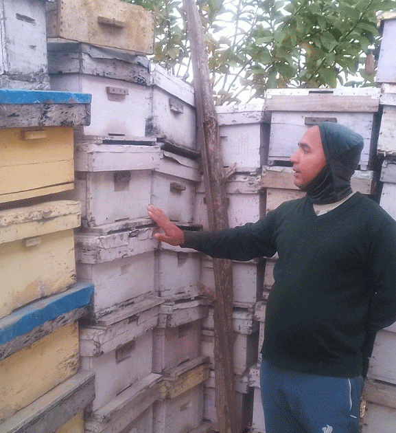 अवकाशपछिको जाँगर: मौरी पालनबाट मनग्य आम्दानी गर्दै घनश्याम