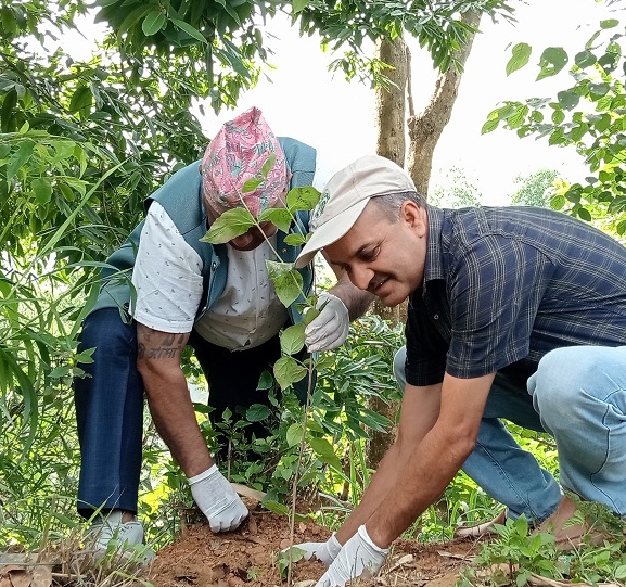 विश्व वातावरण दिवसको अवसरमा वृक्षारोपण