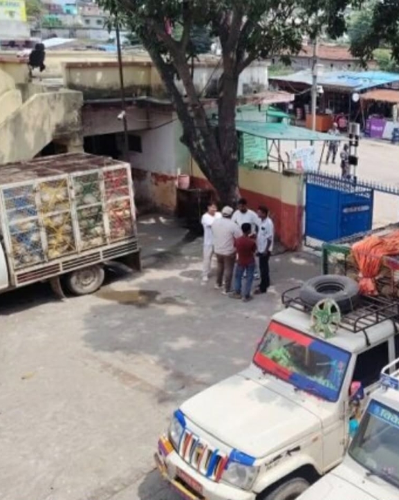 स्वदेशी कुखुरा बोकेका तीन पिकअप नियन्त्रणमा लिएर भन्सारमा बुझाइएपछि रौतहटका किसान आक्रोशित