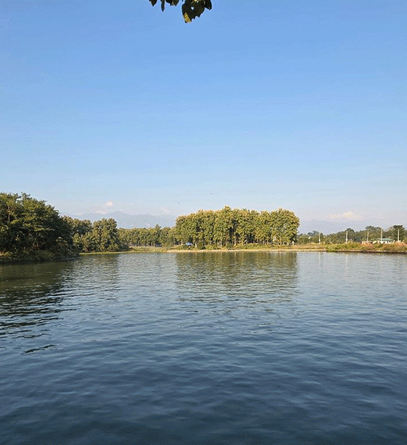 पर्यटकको आकर्षक केन्द्र बन्दै तालतलैया